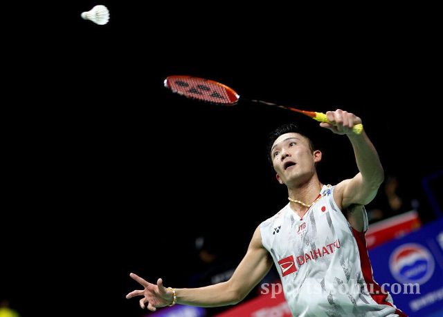 便力图快速 便力图快速